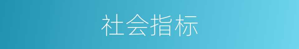 社会指标的同义词