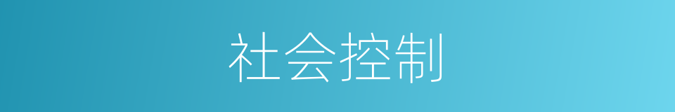 社会控制的意思