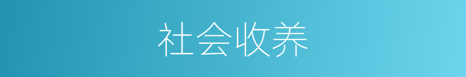 社会收养的同义词