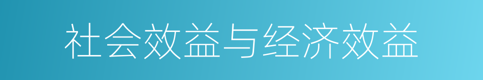 社会效益与经济效益的同义词