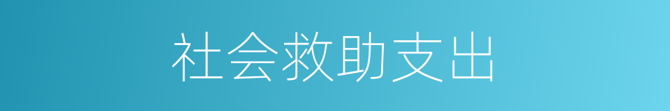社会救助支出的同义词