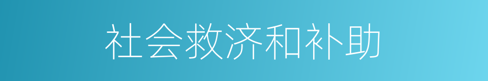 社会救济和补助的同义词