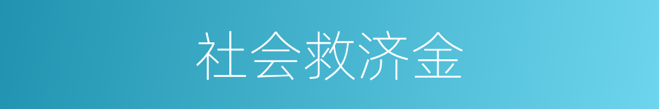 社会救济金的同义词