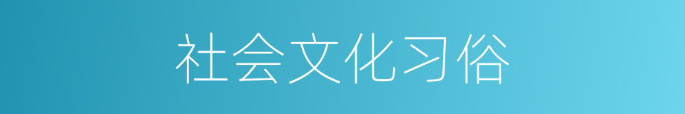 社会文化习俗的同义词