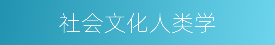 社会文化人类学的同义词