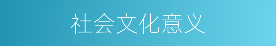 社会文化意义的同义词