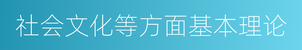 社会文化等方面基本理论的同义词