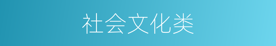 社会文化类的同义词