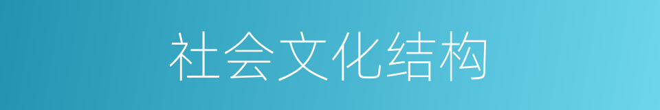 社会文化结构的同义词
