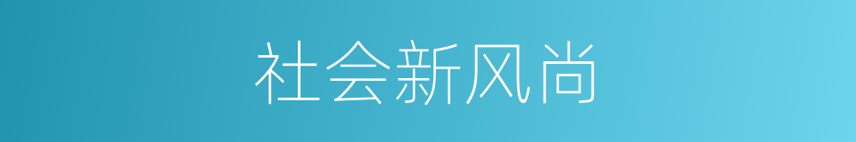 社会新风尚的同义词