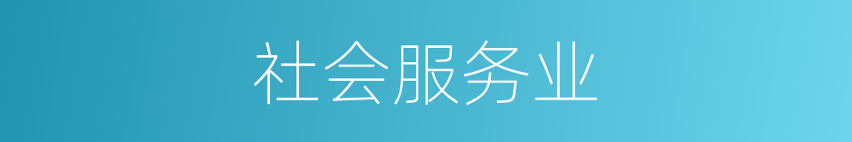 社会服务业的同义词