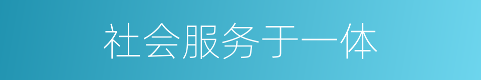 社会服务于一体的同义词