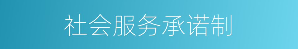 社会服务承诺制的同义词