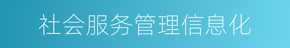 社会服务管理信息化的同义词