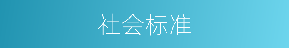 社会标准的意思