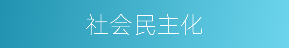 社会民主化的同义词