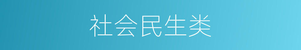 社会民生类的同义词