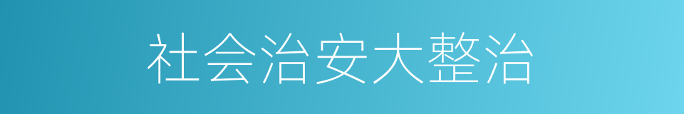 社会治安大整治的同义词