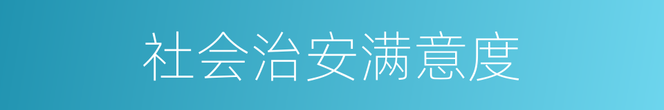 社会治安满意度的同义词