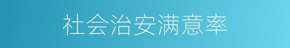 社会治安满意率的同义词