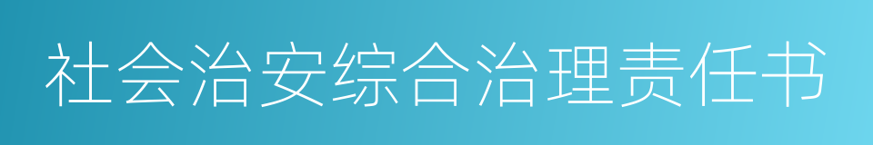 社会治安综合治理责任书的同义词