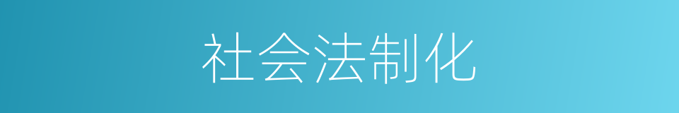 社会法制化的同义词