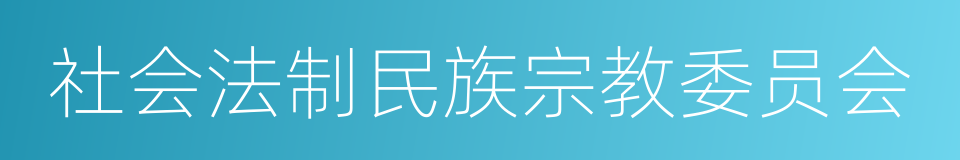 社会法制民族宗教委员会的同义词