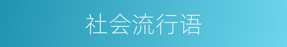 社会流行语的同义词