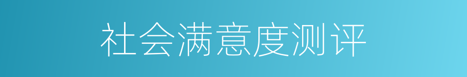 社会满意度测评的同义词