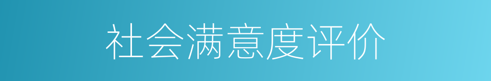 社会满意度评价的同义词