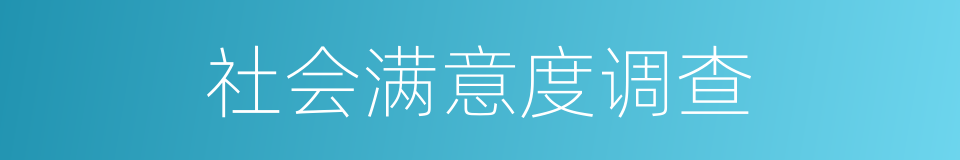 社会满意度调查的同义词