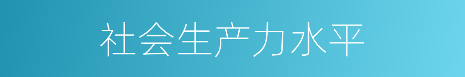 社会生产力水平的同义词