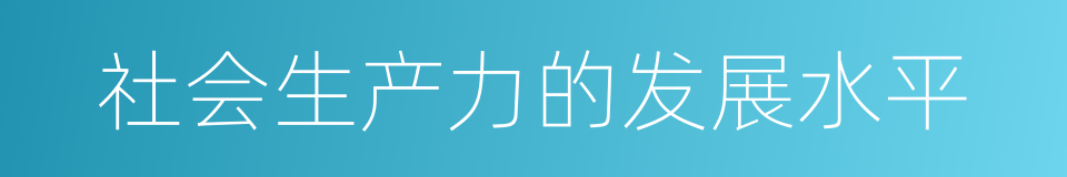 社会生产力的发展水平的同义词