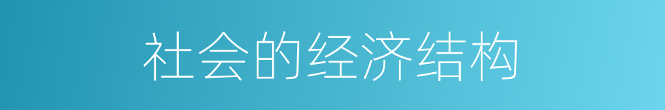 社会的经济结构的同义词