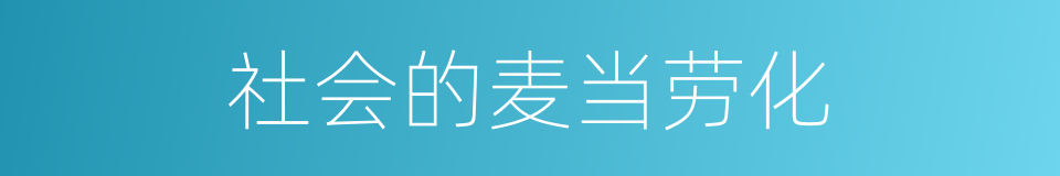 社会的麦当劳化的同义词