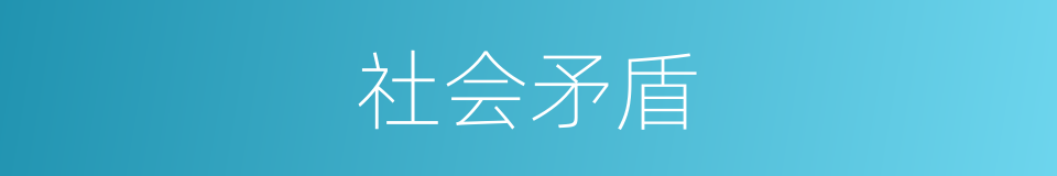 社会矛盾的同义词