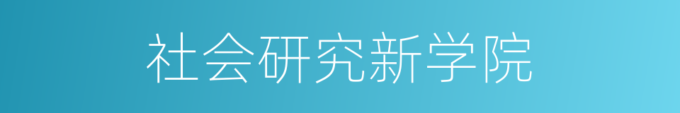 社会研究新学院的同义词