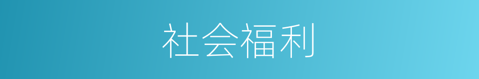 社会福利的意思