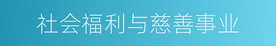 社会福利与慈善事业的同义词