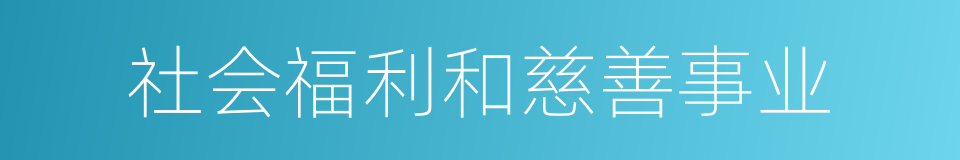 社会福利和慈善事业的同义词