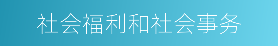 社会福利和社会事务的同义词