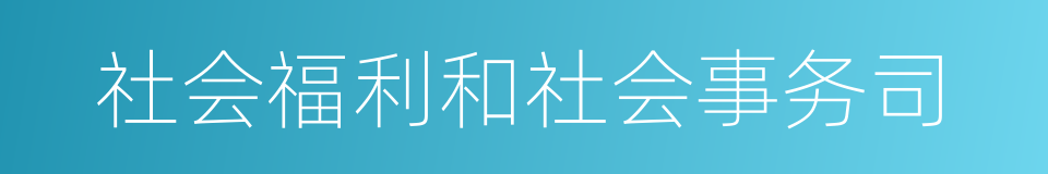 社会福利和社会事务司的同义词