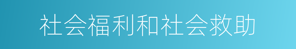 社会福利和社会救助的同义词