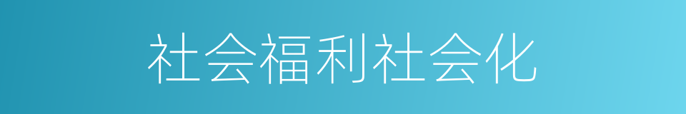 社会福利社会化的同义词