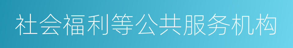 社会福利等公共服务机构的同义词