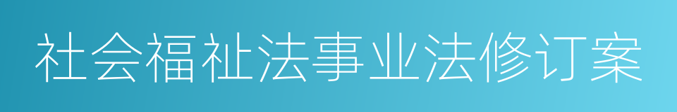 社会福祉法事业法修订案的同义词