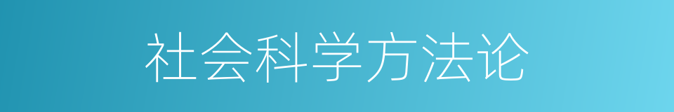 社会科学方法论的同义词