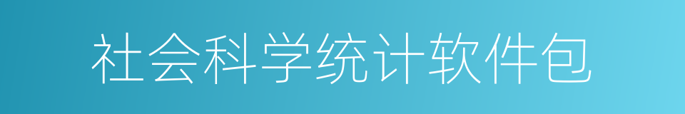 社会科学统计软件包的同义词