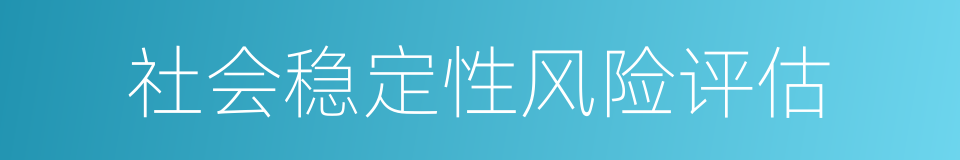 社会稳定性风险评估的同义词