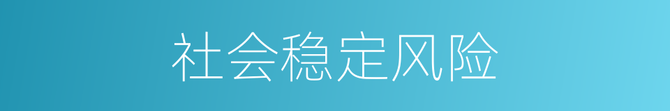 社会稳定风险的同义词
